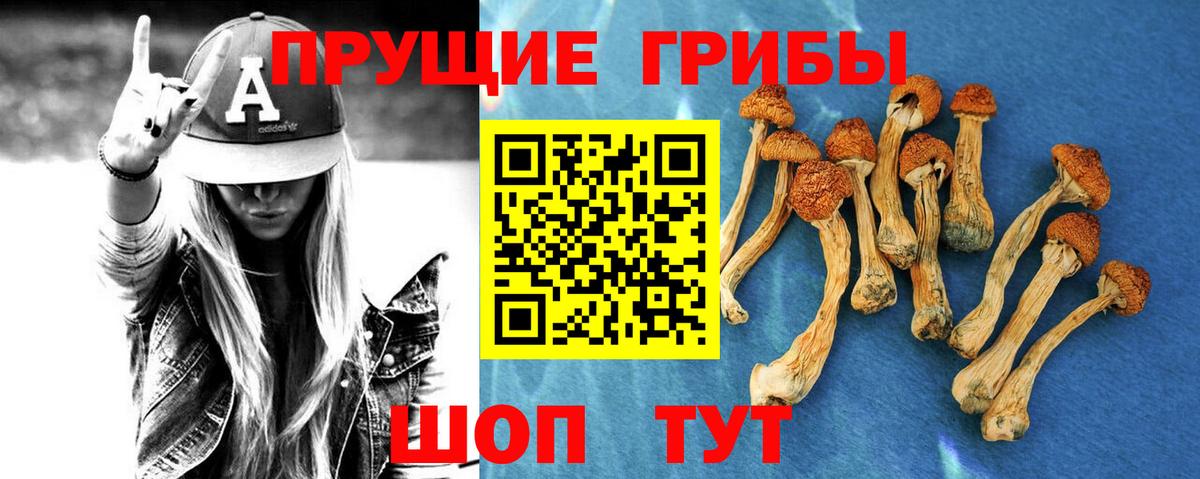 Псилоцибиновые грибы MAGIC MUSHROOMS Семёнов