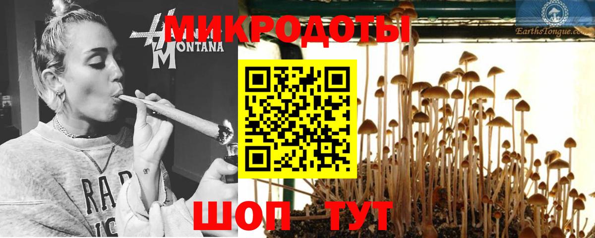 Псилоцибиновые грибы прущие грибы  Вход с VPN  Семёнов  Галлюциногенные грибы Cubensis 